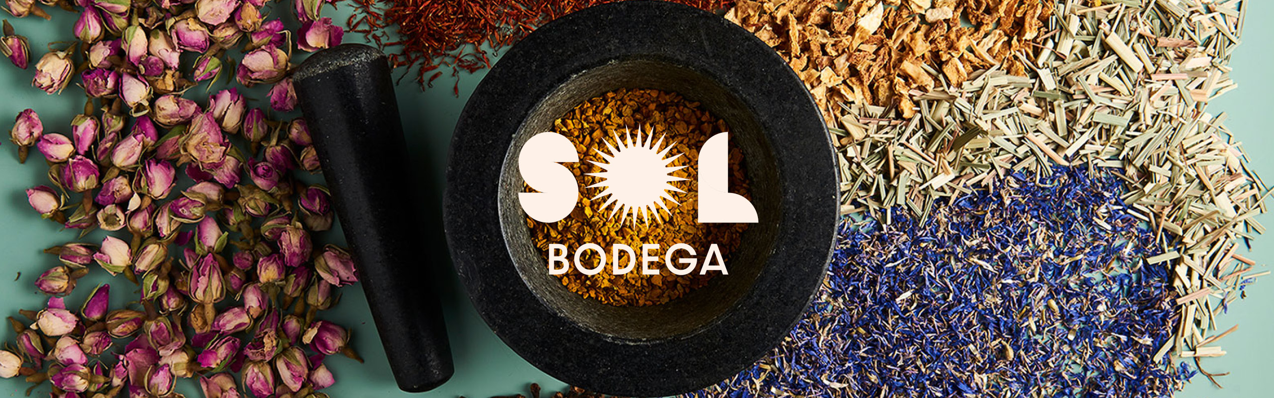sol-bodega-portfolio-feature