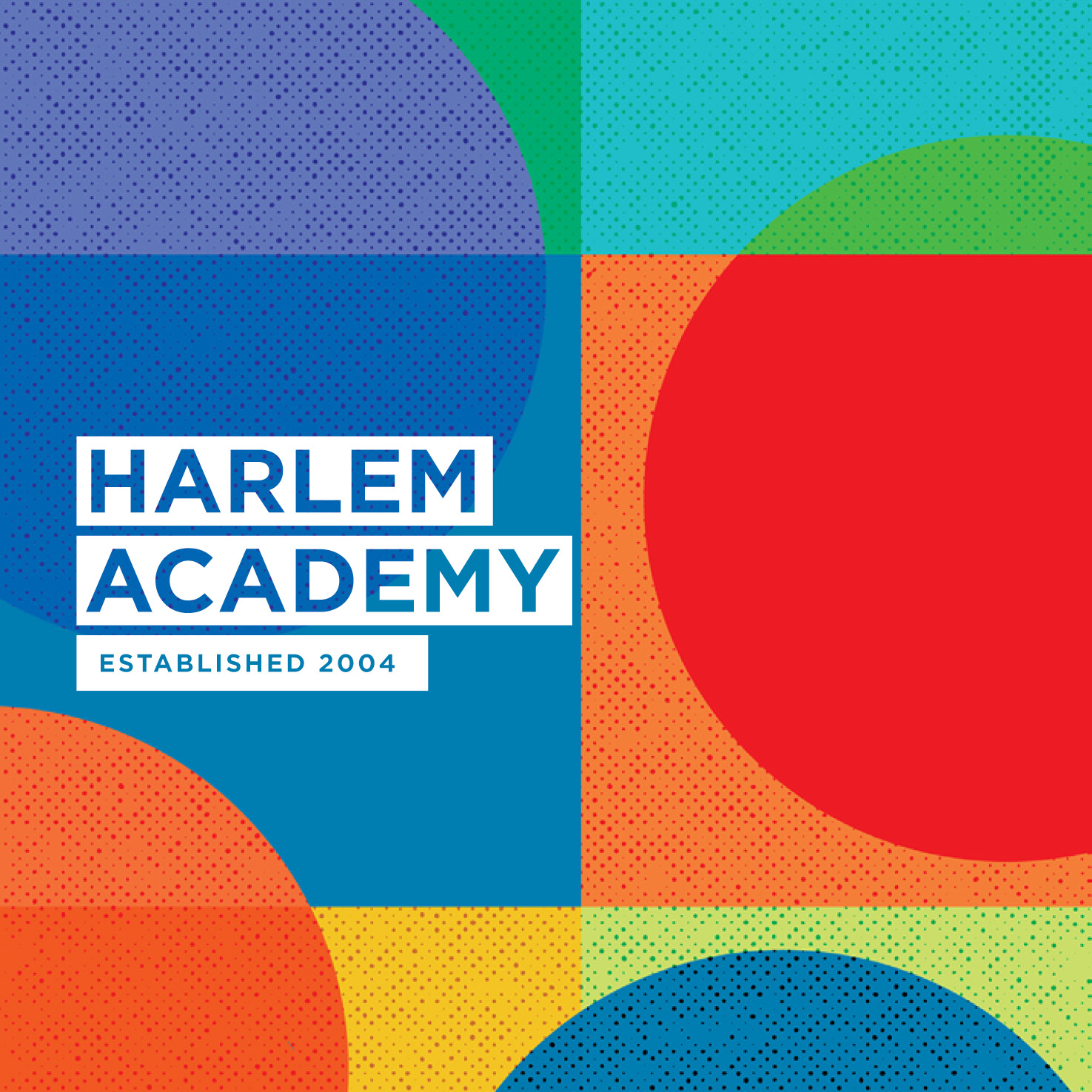 harlem-academy-case-study353